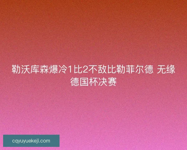 勒沃库森爆冷1比2不敌比勒菲尔德 无缘德国杯决赛